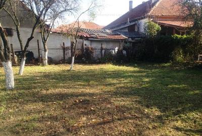 Teren Construcții intravilan de 1328 mp, în Ghirodei - 5