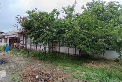 Teren de 1200 mp, în Băneasa - 3