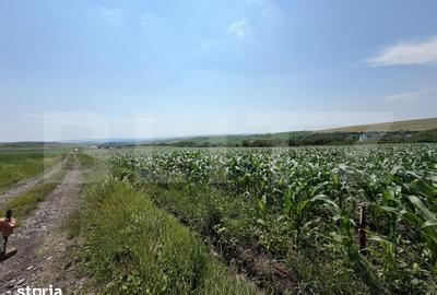 Teren de 1900 mp, în Săndulești - 2