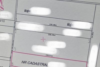 Teren de 11000 mp, în Nojorid - 1