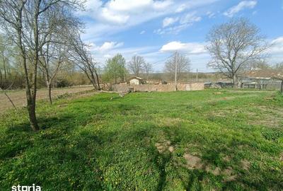 Teren de 500 mp, în Bodești - 5