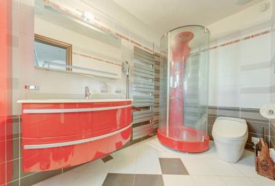 Penthouse cu 6 camere decomandat în Herăstrău - 19