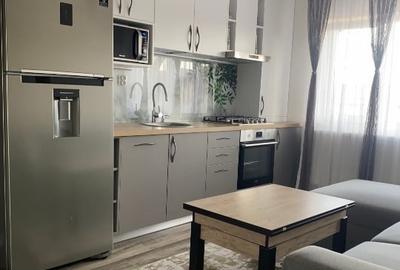 Apartament cu 2 camere decomandat, mobilat în Șagului - 2