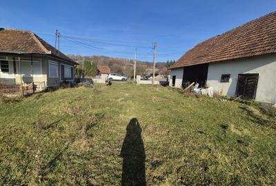 Casă cu 3 camere în Ciucea - 5