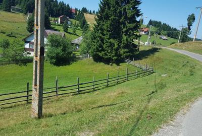 Teren de 7000 mp, în Fundata