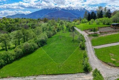 Teren Construcții intravilan de 500 mp, în Tohănița - 1