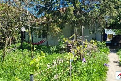 Casă cu Teren 1500 Mp în Lucian Blaga - 8