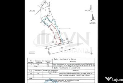 Casă cu 5 camere cu Teren 243 Mp în Cișmigiu