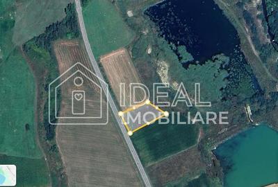 Teren agricol extravilan de 2719 mp, în Cârțișoara - 1