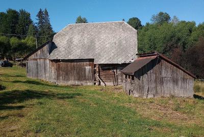 Teren de 11000 mp, în Râșca