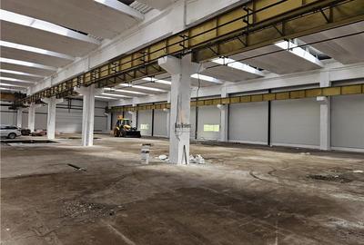Spațiu industrial, de 6,500 mp, în Mârșa
