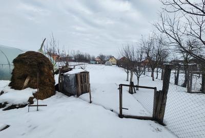 Casă individuală cu 7 camere cu Garaj în Biled - 6