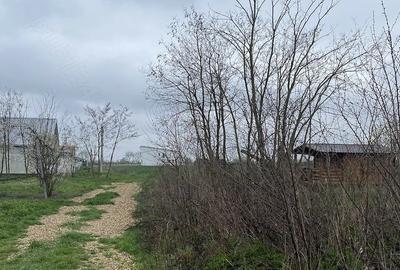Teren de 5000 mp, în Lazuri - 7