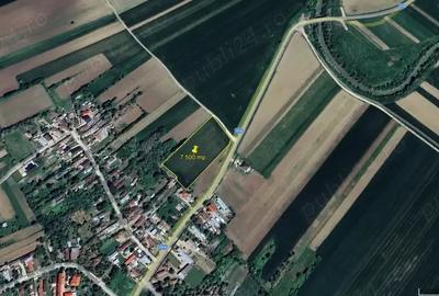 Teren de 7500 mp, în Trestieni - 1