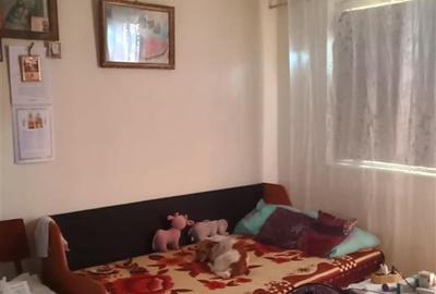 Apartament cu 3 camere semidecomandat în Viziru 1