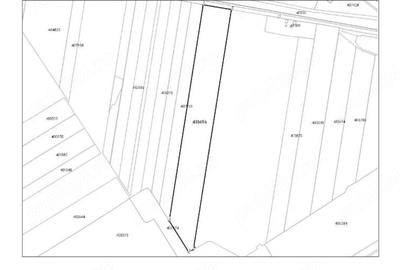 Teren de 50200 mp, în Beregsău Mare