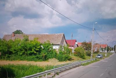 Casă cu Teren 2743 Mp în Central