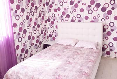 Apartament cu 2 camere decomandat, mobilat în Abator - 3