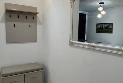 Apartament cu 2 camere semidecomandat în Serele Vișoianu - 8