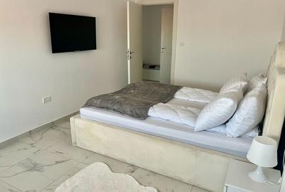 Apartament cu 2 camere decomandat în Malul Mureșului - 5