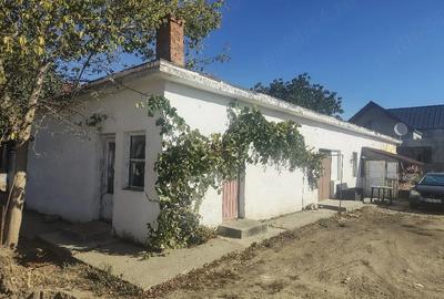 Casă cu Teren 459 Mp în Nufărul