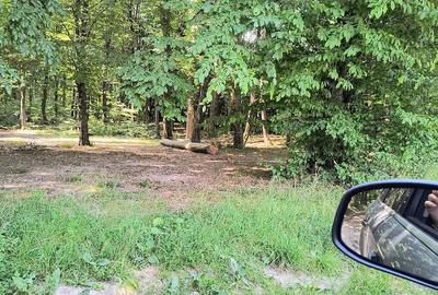 Teren de 2600 mp, în Măriței - 4