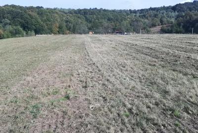 Teren de 7000 mp, în Negreni - 1