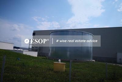 Spațiu industrial, de 2,500 mp, în Mogoșoaia - 5