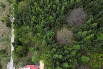 Teren Construcții intravilan de 6500 mp, în Dâmbul Morii - 5