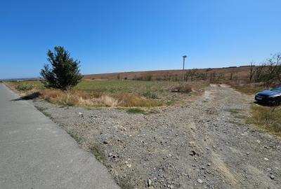 Teren agricol extravilan de 10000 mp, în Sibioara - 7