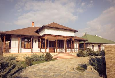 Proprietate specială, de 590,000 mp, în Est - 4