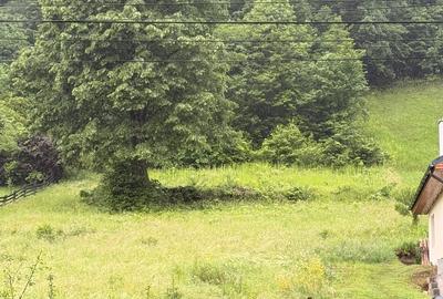 Teren Construcții intravilan de 6200 mp, în Tăuții-Măgherăuș - 7