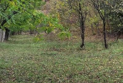 Teren de 6040 mp, în Piatra - 2