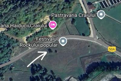 Teren de 440 mp, în Plaiul Foii - 1