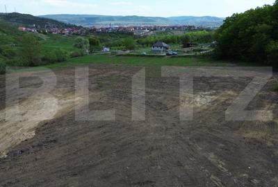 Teren de 15100 mp, în Central - 9