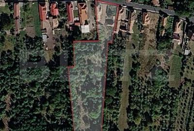 Casă cu 3 camere în Copăceni