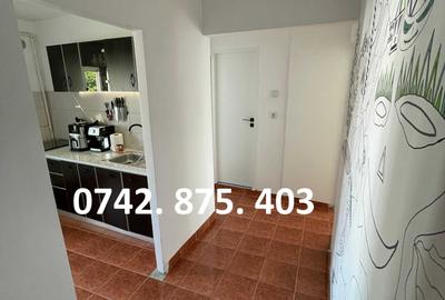 Apartament cu 2 camere decomandat în Dosu Bricii - 2