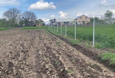 Casă cu 3 camere cu Teren 3600 Mp în Lozna