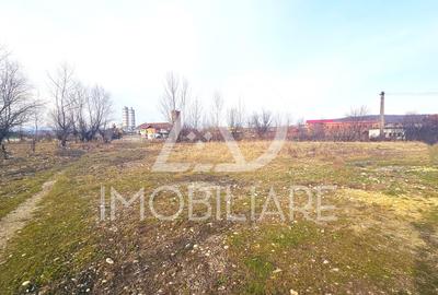 Teren Construcții intravilan de 12000 mp, în Rovinari - 7