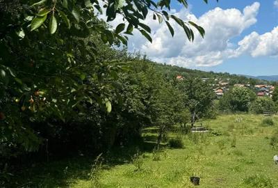 Teren de 740 mp, în Valea Doftanei - 4