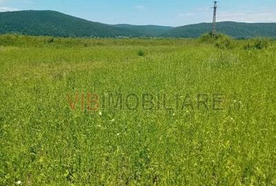 Spațiu comercial, în Conop - 1