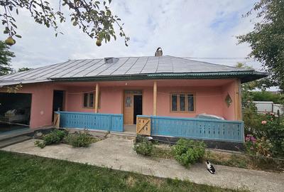 Casă cu Teren 2800 Mp în Bolotești - 8