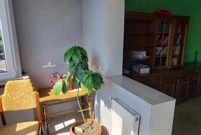 Apartament cu 2 camere decomandat în Tractorul - 1