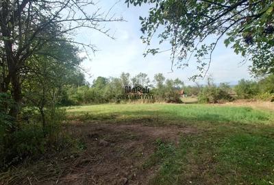 Casă cu Teren 9223 Mp în Baia de Criș - 17