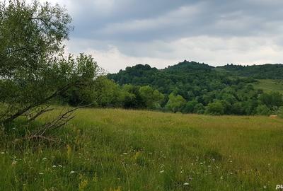Teren de 3013 mp, în Valea - 6