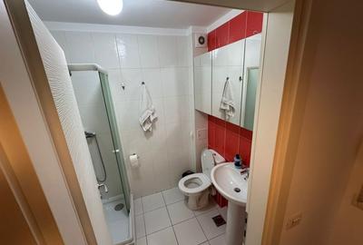 Garsonieră semidecomandată, mobilată în Theodor Pallady - 6
