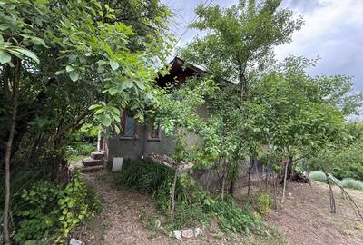 Teren Construcții intravilan de 2900 mp, în Calopăr - 7
