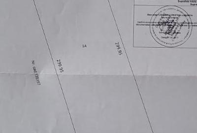 Teren intravilan de 20001 mp, în Vest - 8