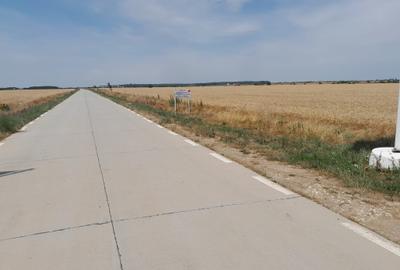 Teren Construcții intravilan de 20000 mp, în Joița - 8