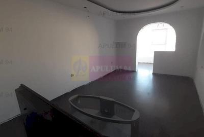 Casă individuală cu 6 camere decomandat cu Canalizare în Drumul Găzarului - 17
